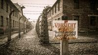 Krakow and Auschwitz 1 Day Tour from Warsaw