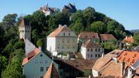 Private Transfer : Sighisoara to Airports