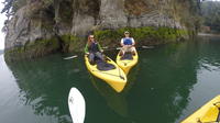 Kayaking Brookings Chetco River