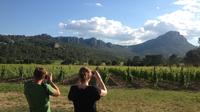 Hiking Tour to Pic St Loup with Wine Tasting from Montpellier