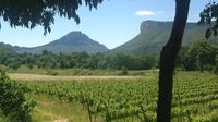 Pic St Loup Wine Tour including Homemade Lunch from Montpellier