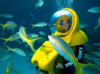 AVENTURE sous-marine à Nassau, aux Bahamas