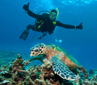 Excursion au bord de mer à Nassau: Aventure en plongée sous-marine Avec 2 bouteilles