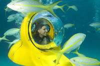 Excursion au bord de mer à Nassau: Aventure en sous-marin aux Bahamas