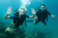 Excursion en plongée Avec 2 bouteilles au départ de Nassau