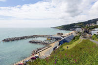 5-Day Isle of Wight and New Forest Tour from London 