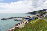 Tour de 5 jours sur l'Île de Wight et New Forest au départ de Londres