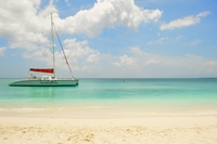 Croisière en catamaran à Grand Cayman with plongée libre à Stingray Sandbar et Reef
