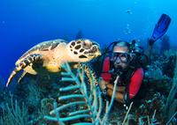 Grand Cayman SCUBA Diving