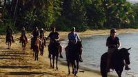 Beach Horseback Riding in Puerto Plata