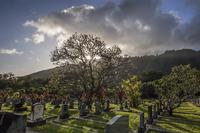 Orbs of Oahu Ghost Night Tour