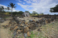 Sacred Hawaiian Spirits Morning Tour