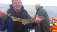 Sea Angling in Northumberland