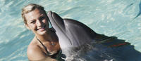 Experiencia en baño con delfines en Nuevo Vallarta Experiencia en baño con delfines en Nuevo Vallarta