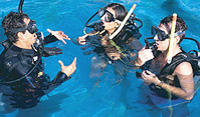 Learn to Dive - Puerto Vallarta Beginners Scuba Course