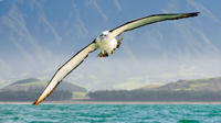 7-Day South Island Photography Tour from Invercargill to Christchurch