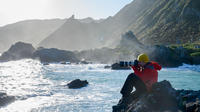 Private Shore Excursion: Wellington Photography Tour