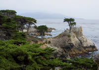 Private Monterey, Carmel and 17-Mile Drive Day Tour from San Francisco