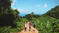 Tour to Big Buddha and Jungle Trek with Lunch in Phuket