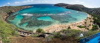 Excursion en bord de mer à Oahu: Plongée avec tuba Dans la baie de Haunauma
