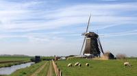 Visite privée: Full-Day personnalisable Hollande Tour de Amsterdam