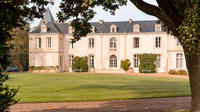 Small Group Chateau de Reignac and Scent Garden Tour with Bordeaux Wine Tasting in Saint Loubes