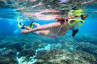 Leeward Coast Dolphin and Snorkel Half-Day Cruise