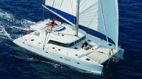 Luxury Dolphin Sail and Kealakekua Snorkel