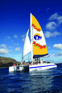 Turtle Canyon Snorkel Cruise by Catamaran photo 1