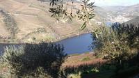 Douro Valley Private Day Trip from Porto with Lunch and Wine Tasting