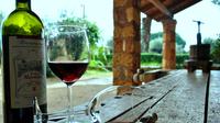 Katakolon Port Shore Excursion: Private Wine Tasting in Mercouri and Beach Tour