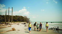 Capers Island Wildlife Exploration