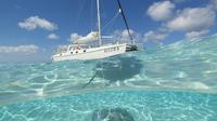 Cayman Islands Stingray City Luxury Sailing and Swimming Tour