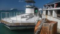 Grand Cayman Nautilus Undersea  Tour