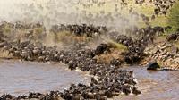 3-Day Maasi Mara Safari from Nairobi