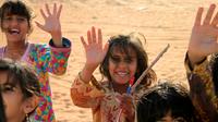 Full-Day Private Tour: Wahibah Desert and Wadi from Muscat