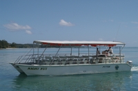 Croisière sur le lagon de Moorea et pique-nique sur l'île
