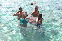 Excursion à Bora Bora with plongée libre et nourrissage de requins et de raies