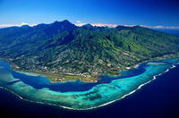 Excursion d'une demi-journée le matin à l'île du cercle de Moorea et au Belvédère Excursion d'une demi-journée le matin à l'île du cercle de Moorea et au Belvédère