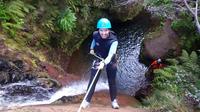 Canyoning in Madiera from Funchal or Caniço