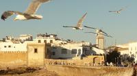  Day Trip from Marrakech to Essaouira