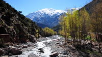 Ourika Valley and Atlas Mountain Day Tour from Marrakech