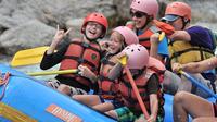 Browns Canyon National Monument Rafting Trip 8:15am