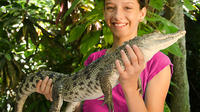 Croco Cun Zoo Interactive Guided Tour 