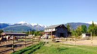 Horseback Ride through Canadian Mountains