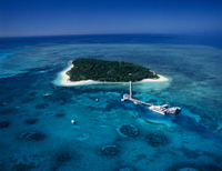 Excursion de 3 jours Dans la Grande barrière de corail de l'île Verte au départ de Cairns