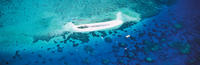 Submarinismo en Cayo Michaelmas y buceo de superficie desde Cairns Submarinismo en Cayo Michaelmas y buceo de superficie desde Cairns
