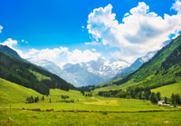 Dagtrip naar Berchtesgaden en het Adelaarsnest vanuit München Dagtrip naar Berchtesgaden en het Adelaarsnest vanuit München