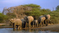 4-Day Wild Life Safari Tour of Kruger National Park from Johannesburg