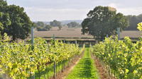 North Kentish Weald Full-day Wine Tour from Kent